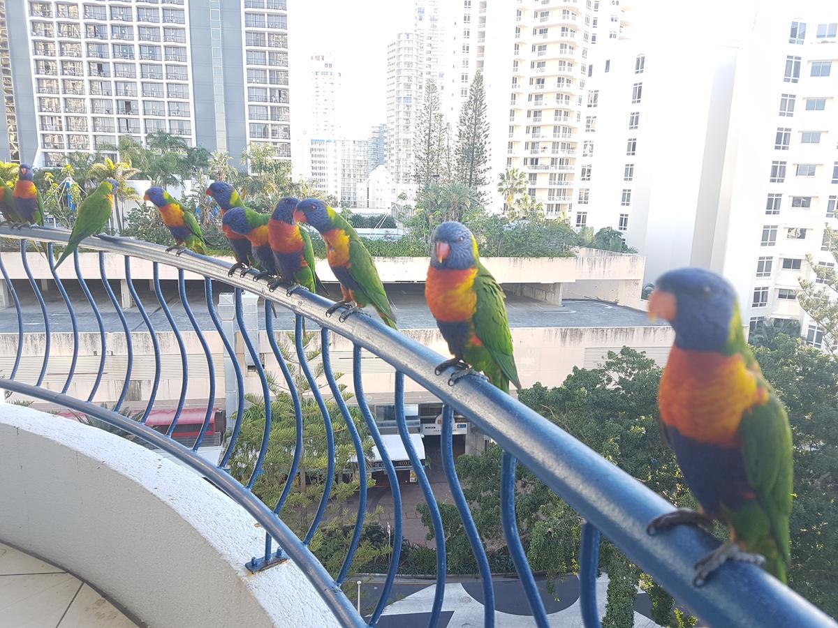 Monte Carlo Apartment Surfers Paradise Exterior photo